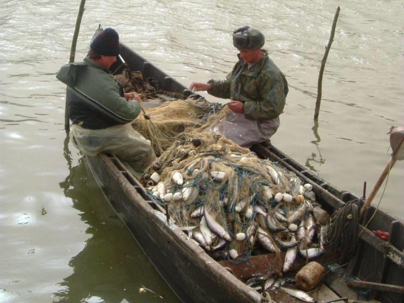 monturi alese - pescuitlascrumbie0876db8df8.jpg